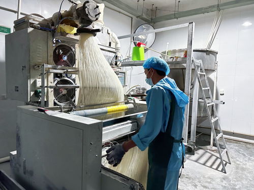 干凈米 讓文山米線(xiàn)味道更 醇厚